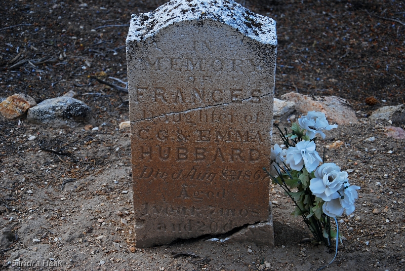DSC_4868.JPG