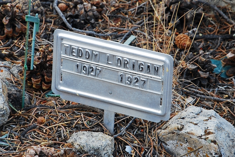 DSC_4882.JPG