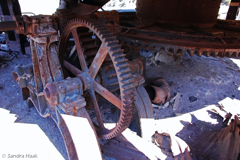 DSC_4687.JPG