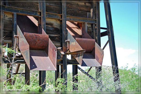 comp-DSC_6403