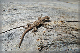 comp-DSC_5237