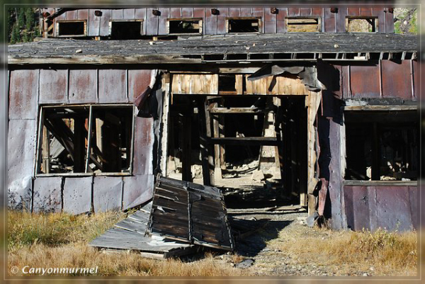 comp-DSC_0162