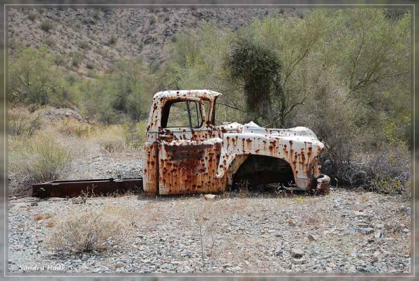 comp-DSC_6825.1.1 (2)