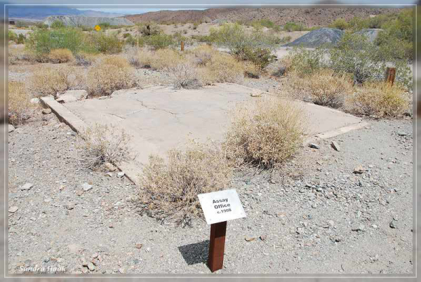 comp-DSC_6825.1.1 (3)