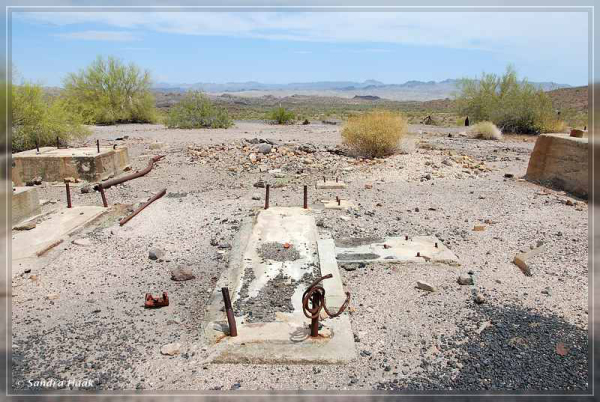 comp-DSC_6825.1.1 (55)